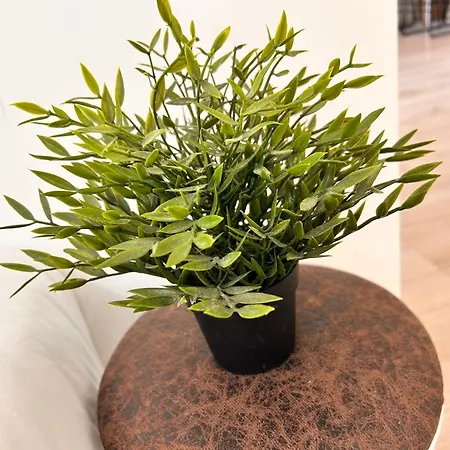 Néala- 4/6 Pers - Standing Neuf Hyper Centre *