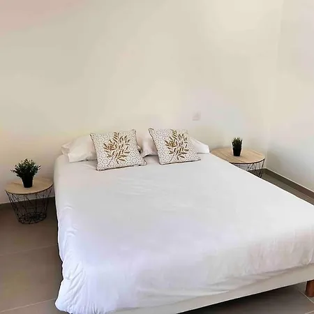 Neala- 4/6 Pers - Standing Neuf Hyper Centre Apartament *